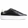 Ted Baker Breyon Trainers Black